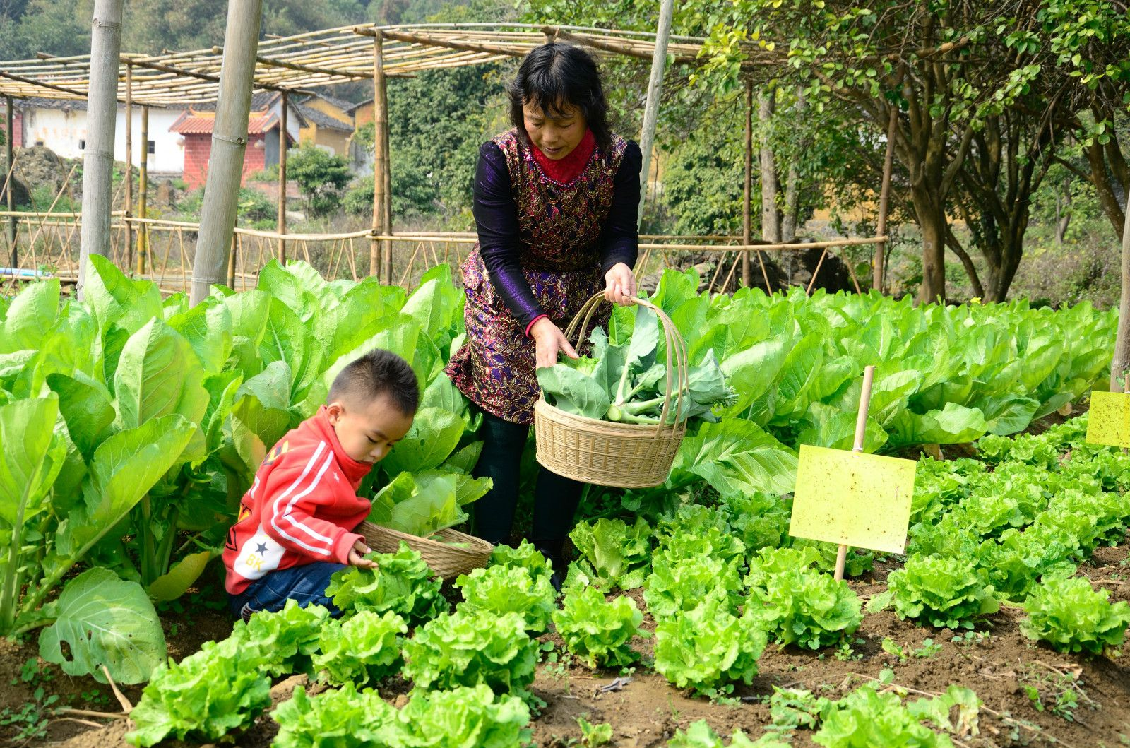 Summer聊食育 | 14个食育活动，让家园共育不再愁！-幼师课件网第19张图片