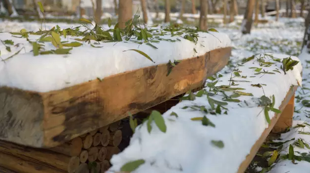 紫水晶|今天最重要的课程是玩儿雪……-幼师课件网第2张图片