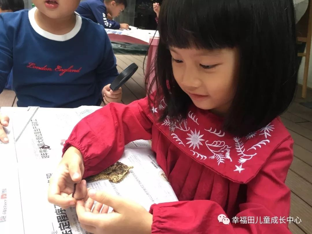 主题活动 | 孩子们的蚯蚓探究日记-幼师课件网第8张图片