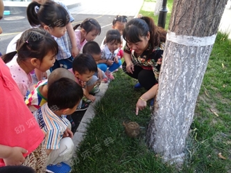 小班艺术活动《可爱的小蜗牛》-幼师课件网第2张图片