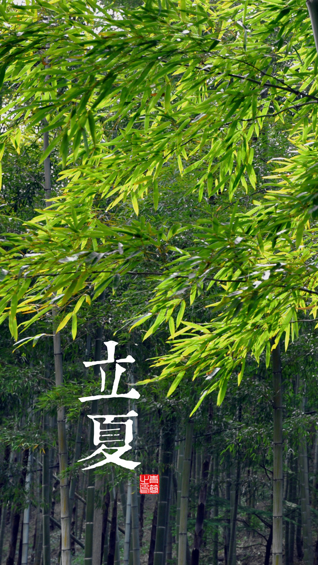 二十四节气第七节 | 立夏：槐柳荫初密，帘栊暑尚微-幼师课件网第18张图片