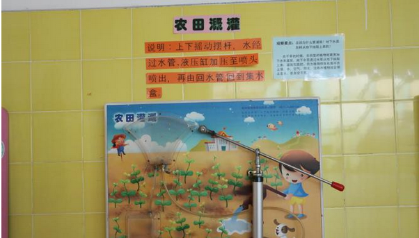 发展幼儿各项技能的各种科学主题墙-幼师课件网第6张图片