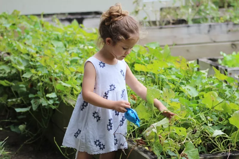 立秋 | 节气护理正当时，幼儿保健要科学-幼师课件网第3张图片