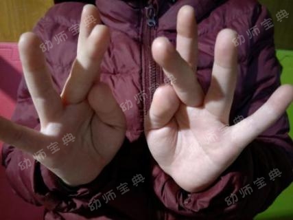 手指操视频 | 《立春》《雨水》《惊蛰》《二月二》-幼师课件网第7张图片