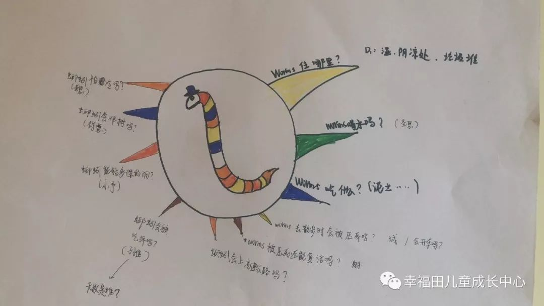 主题活动 | 孩子们的蚯蚓探究日记-幼师课件网第18张图片