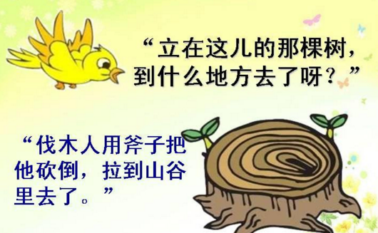大班语言活动《去年的树》教学研讨-幼师课件网第3张图片