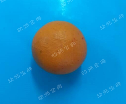 大班手工教案 | 端午佳节又将至，陶艺彩泥赛龙舟-幼师课件网第15张图片