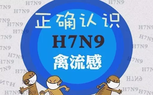 家园共建 | 如何预防H7N9？这些事你应该知道（告知家长）-幼师课件网第1张图片