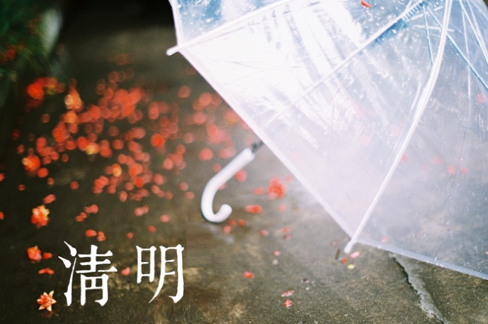 大班语言活动：古诗《清明》-幼师课件网第3张图片