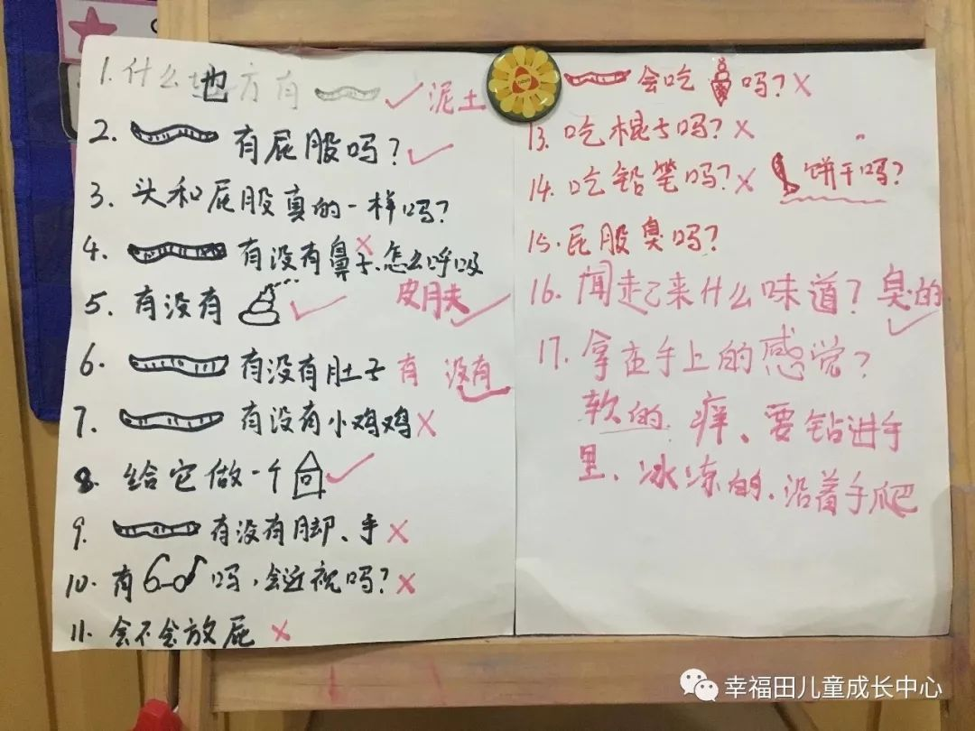 主题活动 | 孩子们的蚯蚓探究日记-幼师课件网第19张图片