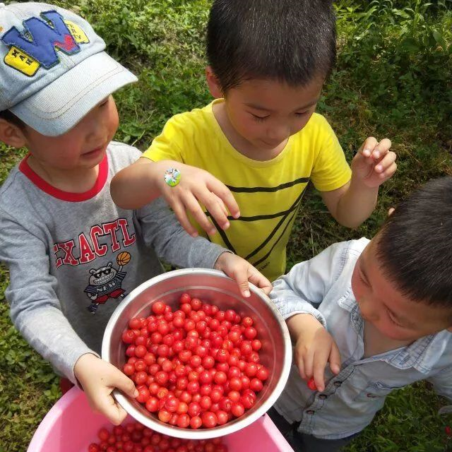 立夏活动 | 11个超nice的节气活动，带你感受立夏的美-幼师课件网第33张图片