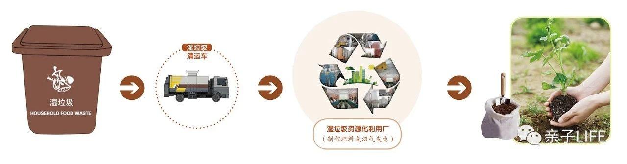 趣味知识 | 垃圾桶的垃圾去哪儿了？-幼师课件网第6张图片