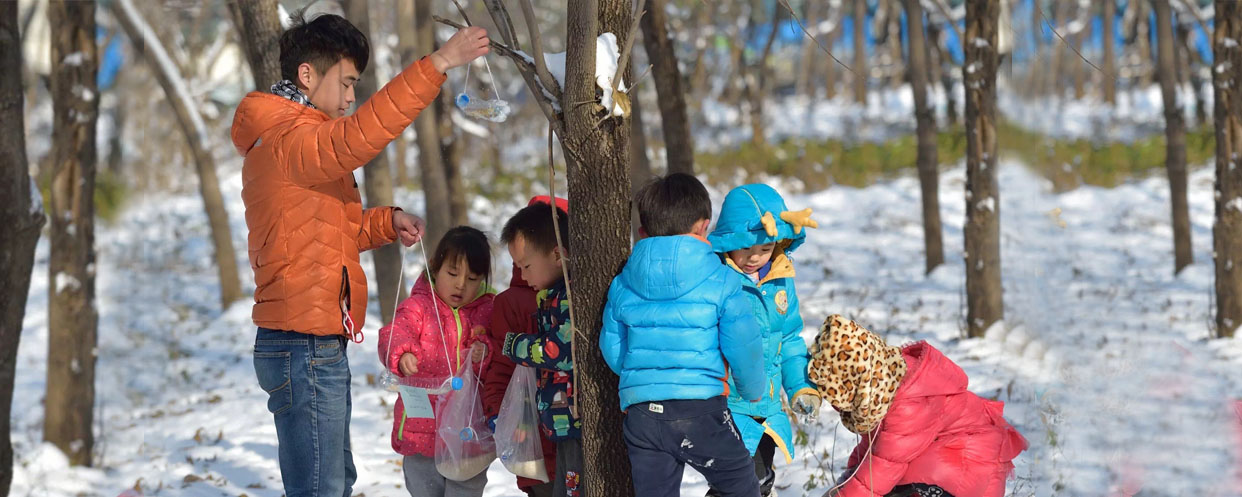 紫水晶蒙养园教育分享-幼师课件网第1张图片