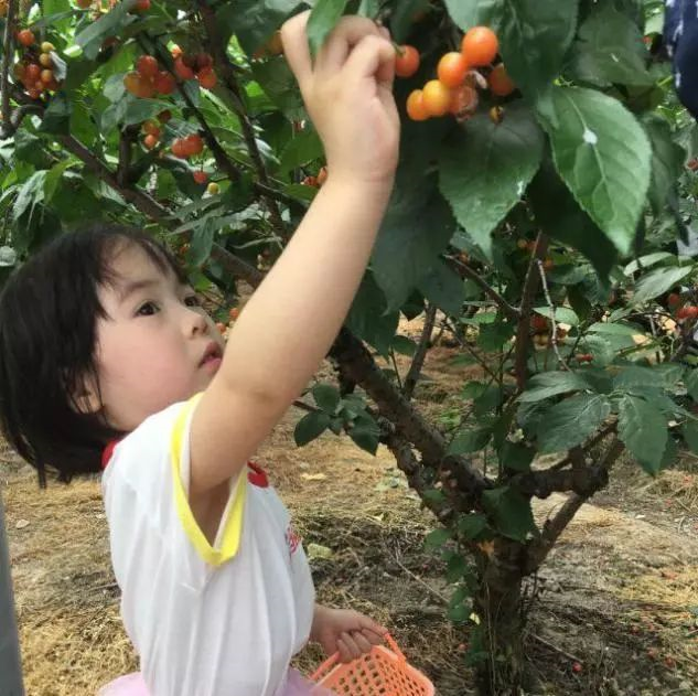 立夏活动 | 11个超nice的节气活动，带你感受立夏的美-幼师课件网第32张图片