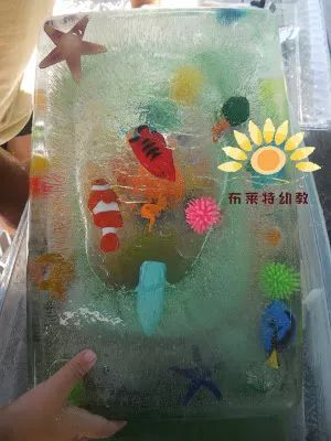 夏季游戏 | 一起来看夏季国外幼儿园的专属游戏-幼师课件网第7张图片