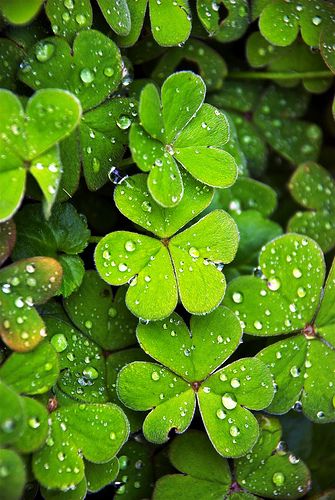 细雨 | 下雨天只会睡觉？这十个游戏给你和孩子雨天的专属浪漫-幼师课件网第42张图片