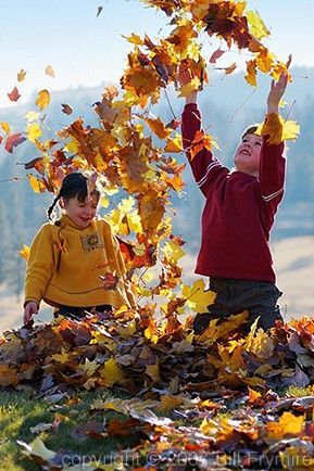 树叶游戏 | 听说机智的幼师，在孩子玩树叶时会问这些问题…-幼师课件网第9张图片