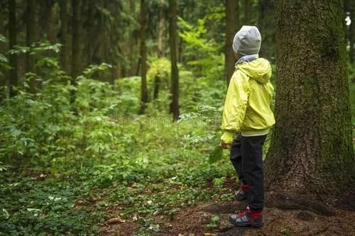 华爱华：抗疫中想到的生态教育-幼师课件网第2张图片