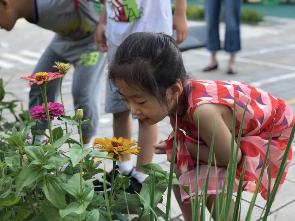 毕业活动方案 | 完美的一天，再见幼儿园-幼师课件网第15张图片