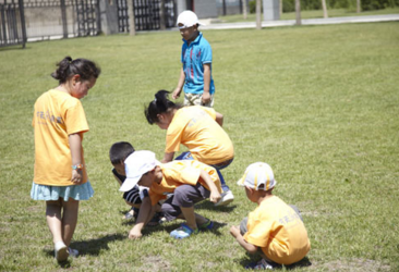 11招让孩子与大树亲密接触-幼师课件网第4张图片