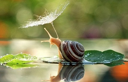 细雨 | 下雨天只会睡觉？这十个游戏给你和孩子雨天的专属浪漫-幼师课件网第31张图片