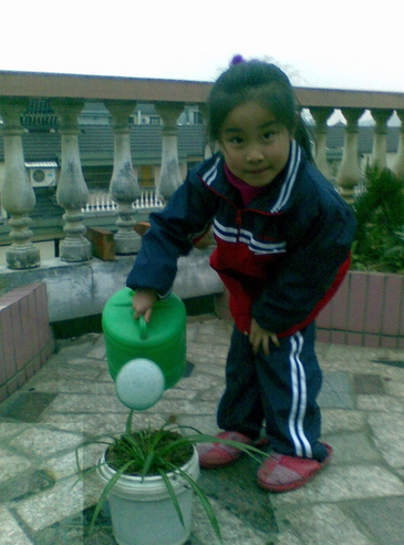 幼儿蒙活动--植物栽培-幼师课件网第3张图片