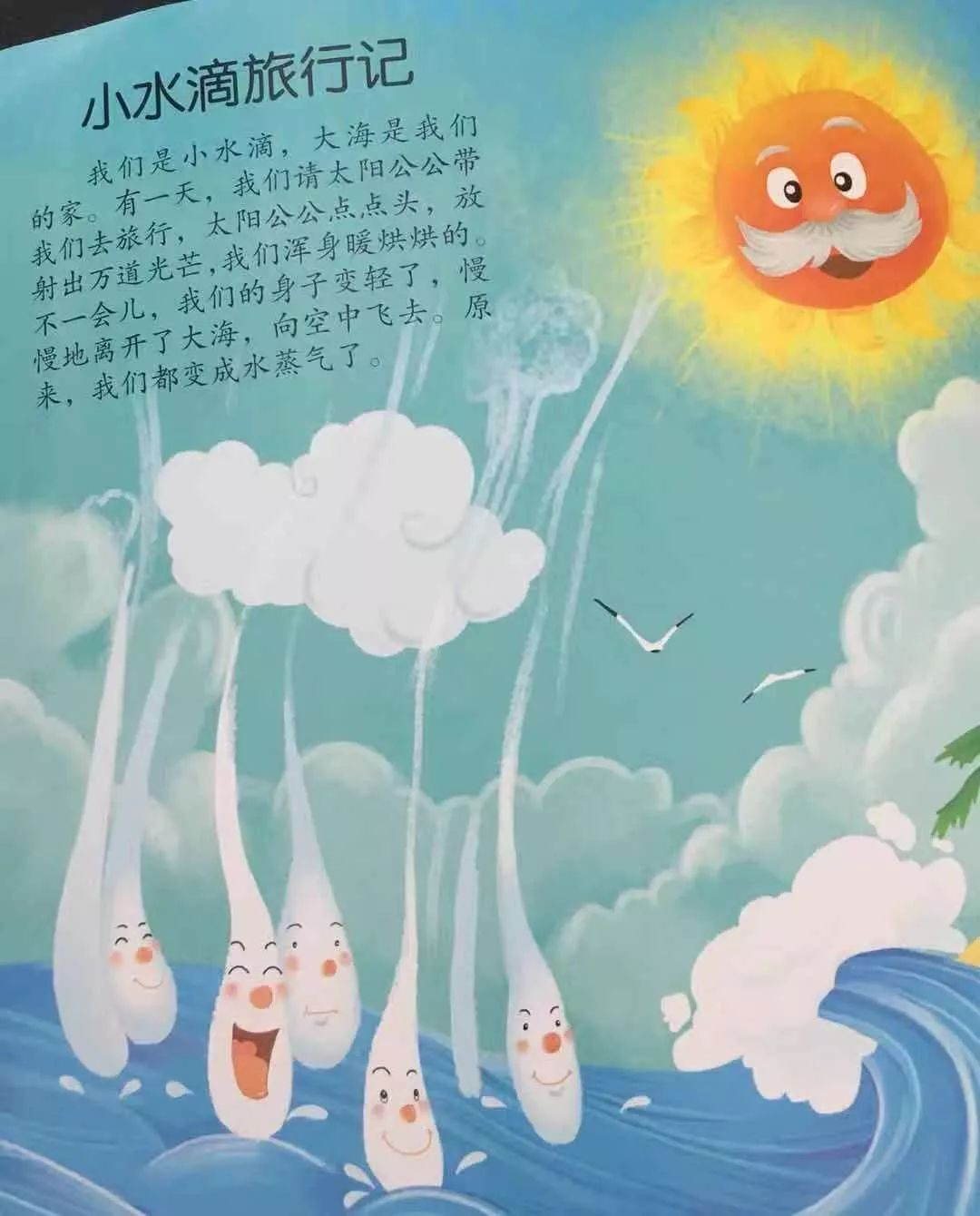 大班主题墙+主题活动 | 《大自然的密语》-幼师课件网第7张图片