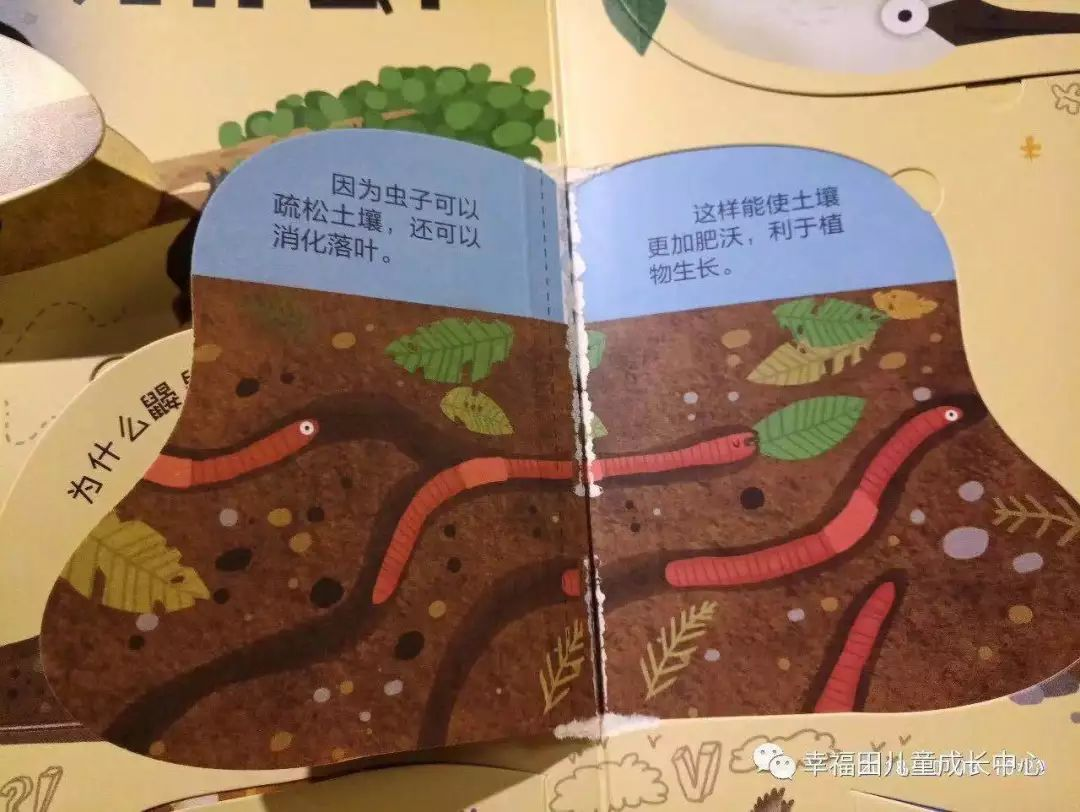 主题活动 | 孩子们的蚯蚓探究日记-幼师课件网第10张图片