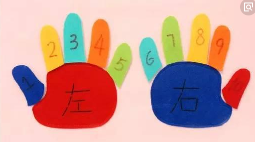 大班科学领域数学活动 | 认识左右-幼师课件网