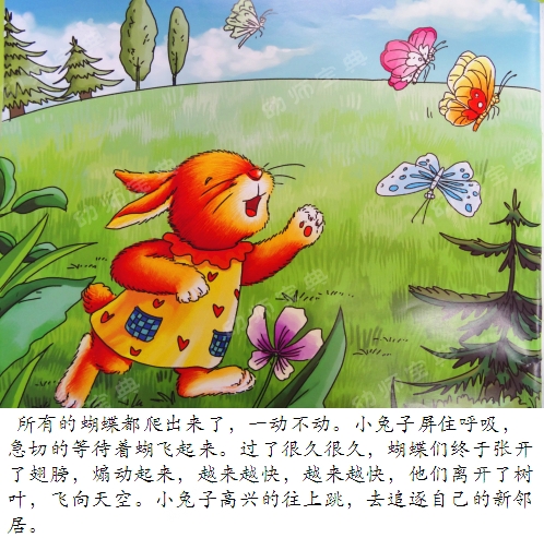 中班语言教案 | 新邻居（化茧成蝶的毛毛虫）-幼师课件网第23张图片