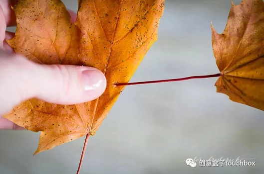 秋季手工 | 秋天这么美，不玩叶子怎么行？-幼师课件网第26张图片