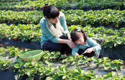 Summer聊食育 | 14个食育活动，让家园共育不再愁！-幼师课件网第18张图片