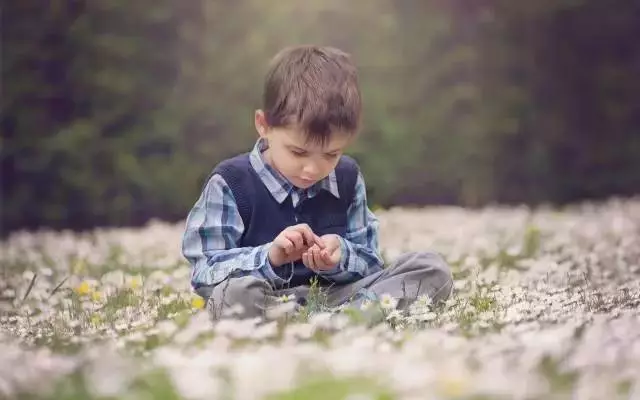 孩子没必要上幼儿园？德国幼儿园只教这些，却影响孩子一生-幼师课件网第5张图片