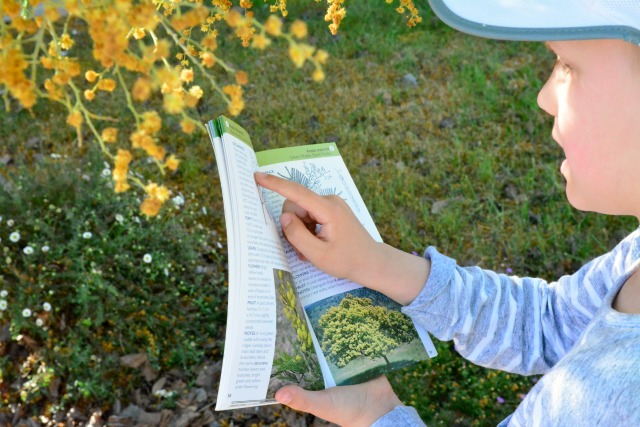 春天，就是要把孩子带出去的季节-幼师课件网第12张图片