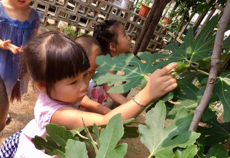 立秋节气活动 | 这10个有趣的活动，带孩子了解时令的秘密-幼师课件网第20张图片