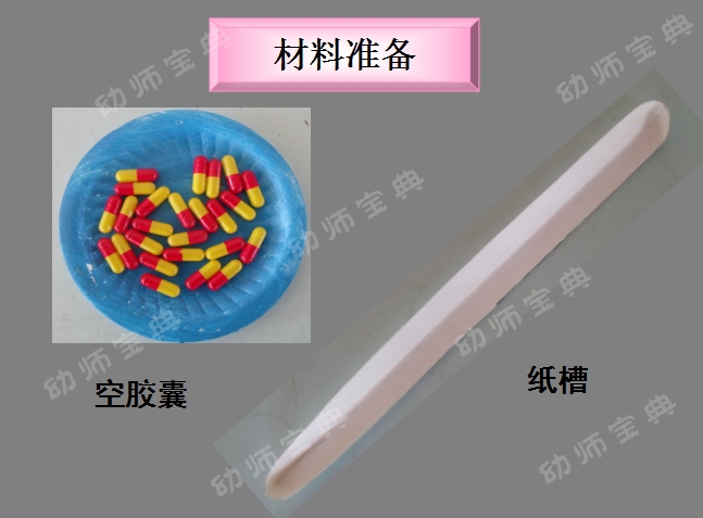 说课稿案例 | 大班探究活动——会翻跟头的小胶囊-幼师课件网第4张图片