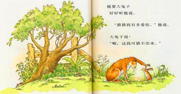 中班语言活动：猜猜我有多爱你-幼师课件网第2张图片