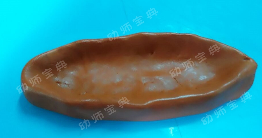 大班手工教案 | 端午佳节又将至，陶艺彩泥赛龙舟-幼师课件网第14张图片