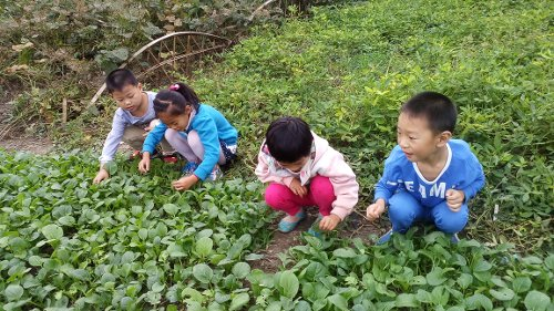 谷雨活动 | 12个好玩的节气活动，带你遵循自然的规律慢下来-幼师课件网第21张图片