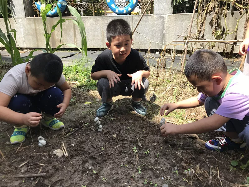 秋分节气活动 | 这9个有趣的节气活动，给你带来秋日的小确幸-幼师课件网第18张图片