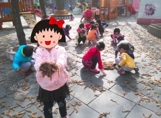 连续性探究活动 | 小芽苞里的秘密-幼师课件网第10张图片