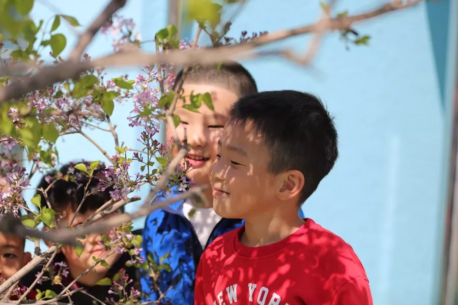 植树节活动 | 与孩子们一起将环保进行到底！-幼师课件网第4张图片