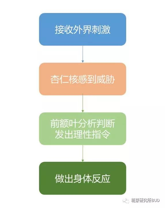 为啥小班孩子经常控几不住他记几？原来他们大脑跟我们不一样！-幼师课件网第7张图片