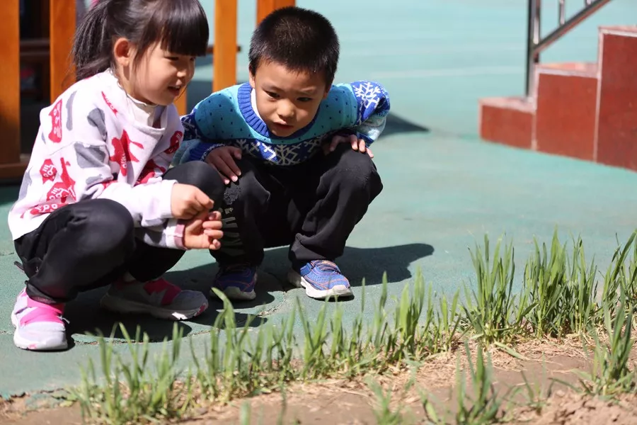 植树节活动 | 与孩子们一起将环保进行到底！-幼师课件网第5张图片