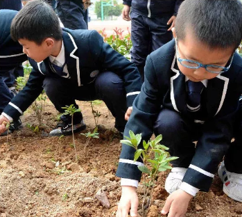 植树节 | 阳春三月天，造绿正当时-幼师课件网第11张图片