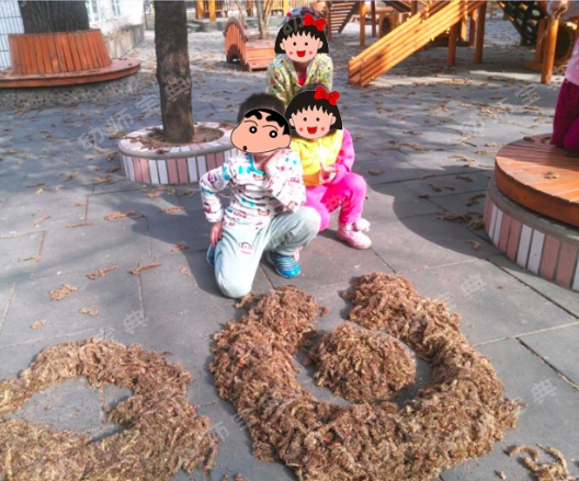 连续性探究活动 | 小芽苞里的秘密-幼师课件网第13张图片