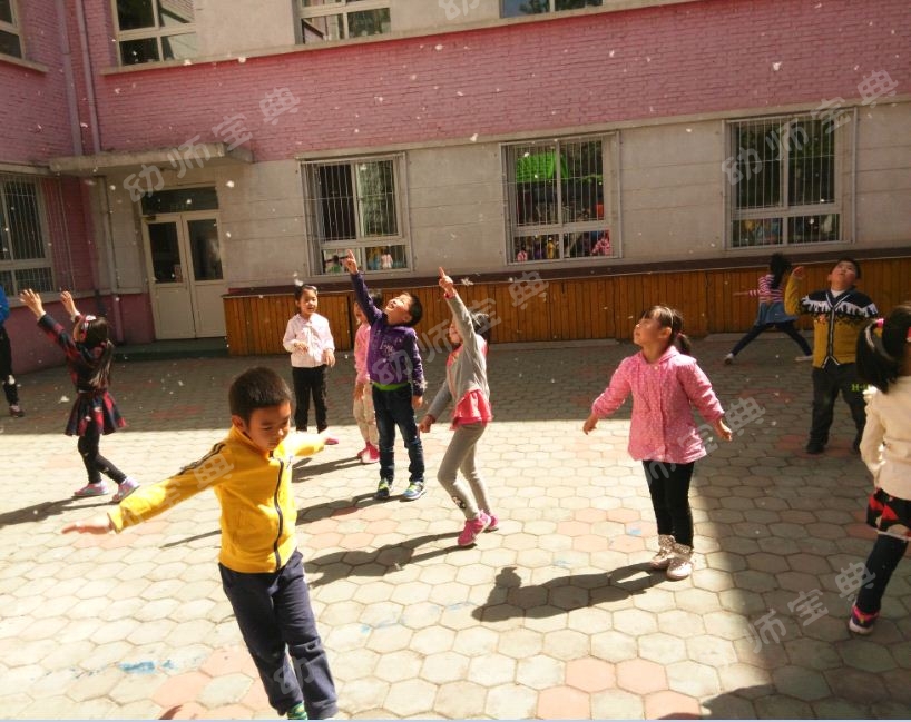 连续性探究活动 | 杨絮飘飘，让孩子与杨絮一起玩耍-幼师课件网第7张图片