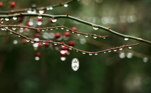 二十四节气 第二节 | 雨水，最是一年春好处-幼师课件网第2张图片