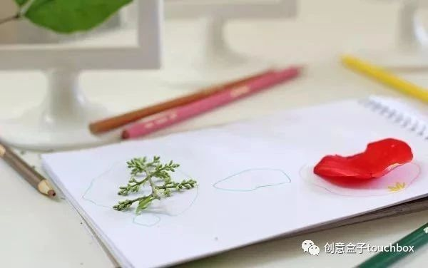 手工 | 这10个让孩子认识自然的创作，出门就能找到材料！-幼师课件网第48张图片