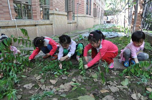 清明活动 | 11个精彩的节气活动，让你感受时令里的自然变化-幼师课件网第31张图片